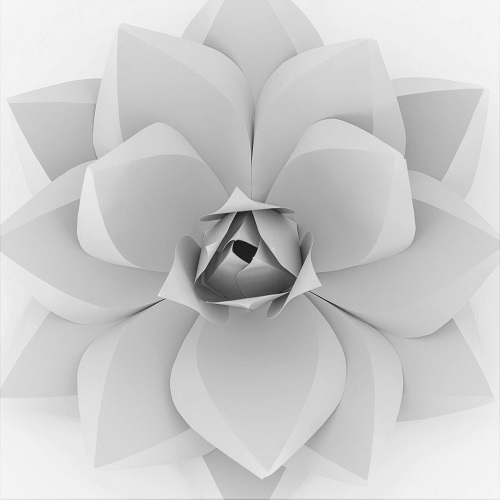 Menu Weselne Prestige